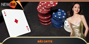 Bài Catte